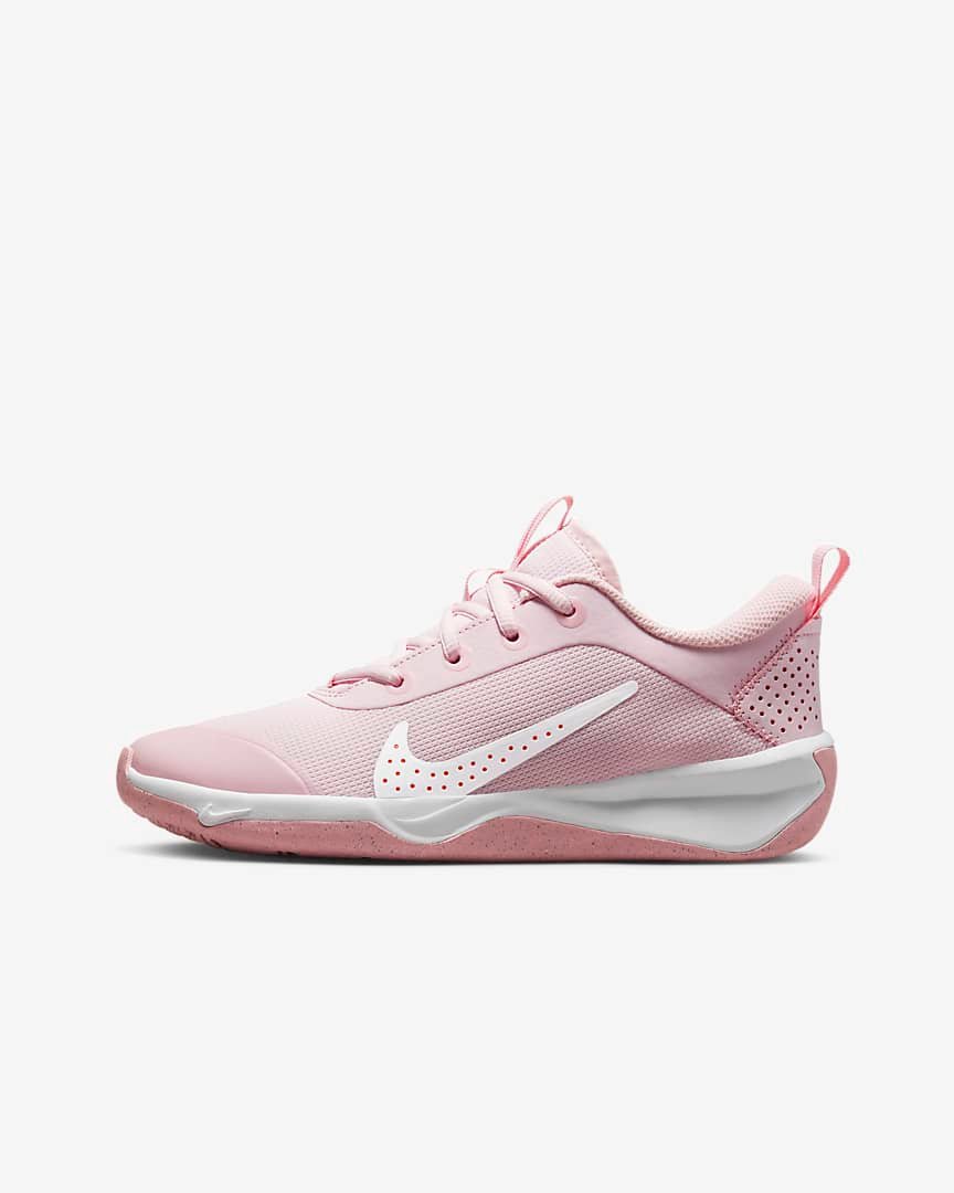 Nike Omni Multi-Court